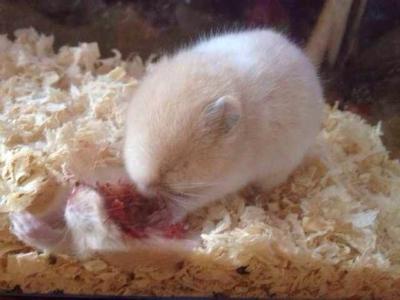 《都挺好》大结局 : 多少人,被这四个字毁了一生!|英亚官网首页(图3) 英亚官方网站