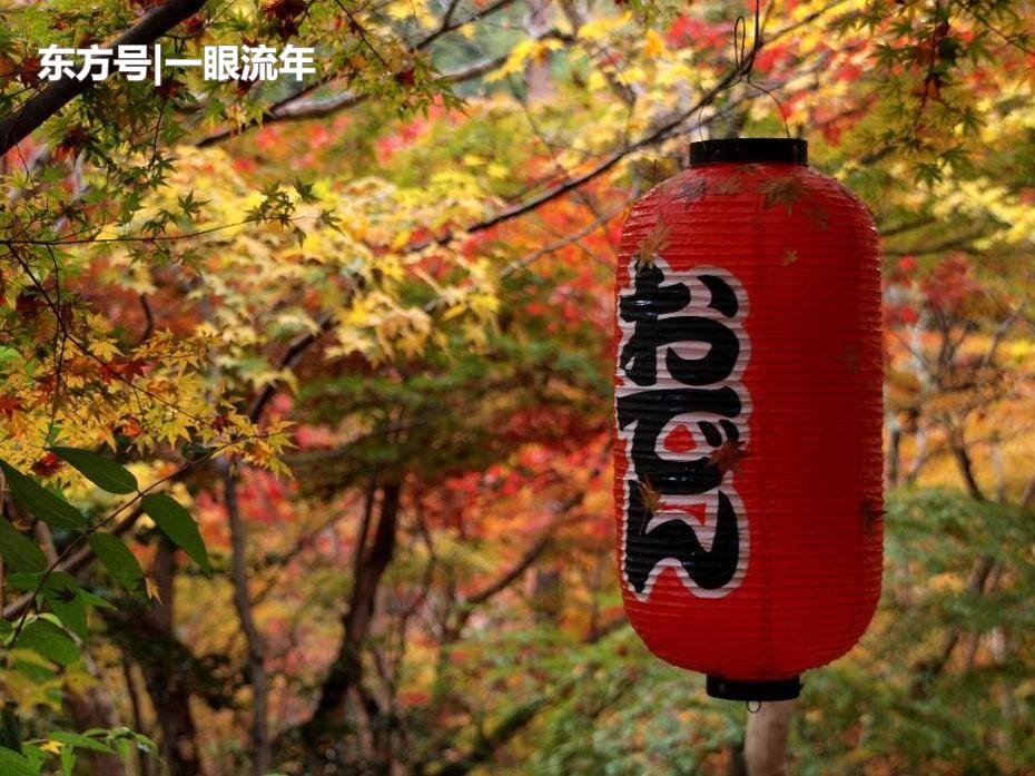 教学过程中可以顺水推舟|英亚官网(图4) 英亚官方网站