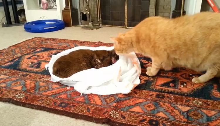 英亚官网|法国版想见你来了!《致我的陌生恋人》将引进(图2) 英亚官网首页