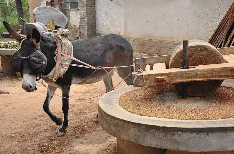 英亚官网首页|国土部相关部门负责人谈矿业权出让制度改革方案_政策法规_新闻_矿道网(图2) 英亚官方网站