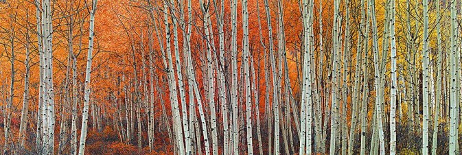 【英亚官网】电影《床下惊人》定档优酷 实力演员冷海铭领衔主演(图1) 英亚官网