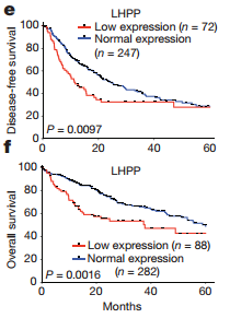 英亚官方网站:由偷菜想到的(图1) 英亚官网首页