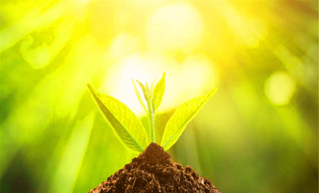 俗语:“最怕端午节水、不怕七月半鬼”啥意思?端午将至不妨一看“英亚官网首页”(图3)
俗语:“最怕端午节水、不怕七月半鬼”啥意思?端午将至不妨一看“英亚官网首页”(图3)