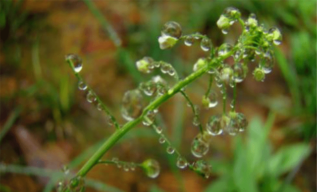 俗语:“最怕端午节水、不怕七月半鬼”啥意思?端午将至不妨一看“英亚官网首页”(图6)
俗语:“最怕端午节水、不怕七月半鬼”啥意思?端午将至不妨一看“英亚官网首页”(图6)