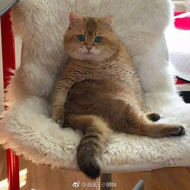 碧水轻柔波叠翠,澄静如诗。(原创)_英亚官网首页(图2) 英亚官网